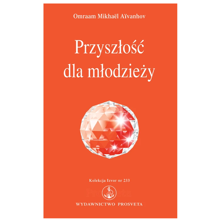 Przyszłość dla młodzieży.png
